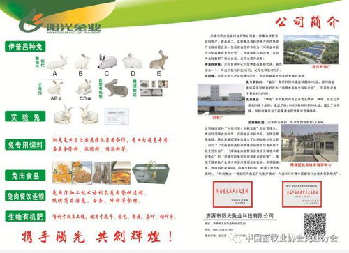 第七屆2017中國兔業(yè)發(fā)展大會 行業(yè)精英齊聚，技術與服務共繪產業(yè)藍圖